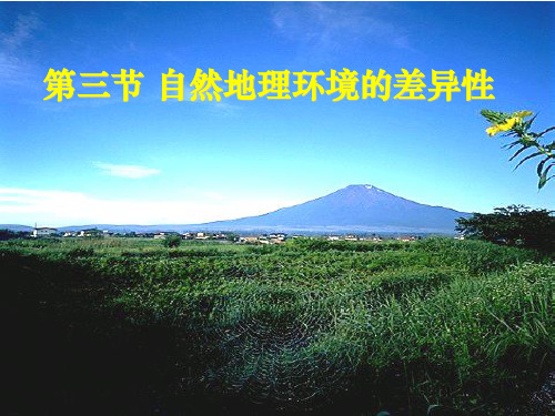 差异性PPT课件