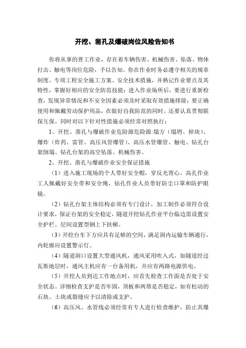 开挖、凿孔与爆破风险告知书
