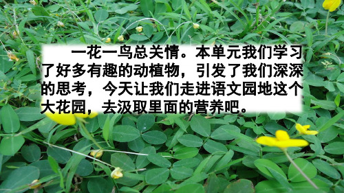 部编版五年级上册第一单元《语文园地》PPT课件