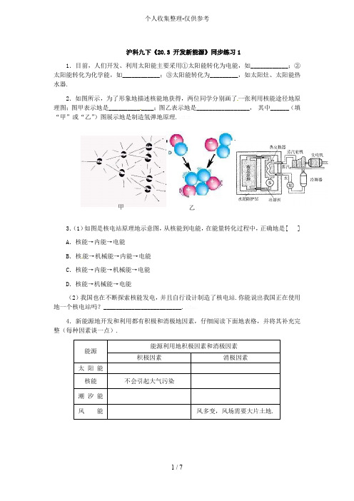 《开发新能源》同步考试(沪科版)