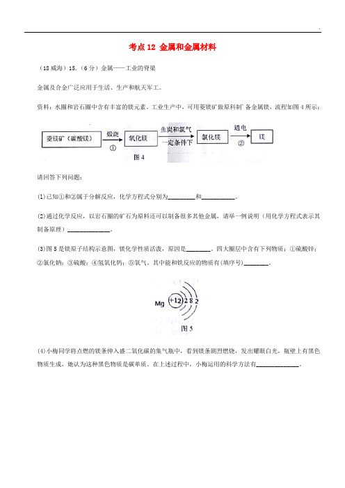 2020中考化学真题分类汇编 2考点12 金属和金属材料 2 具体金属 镁(无答案)