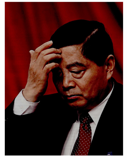 “能吏”仇和