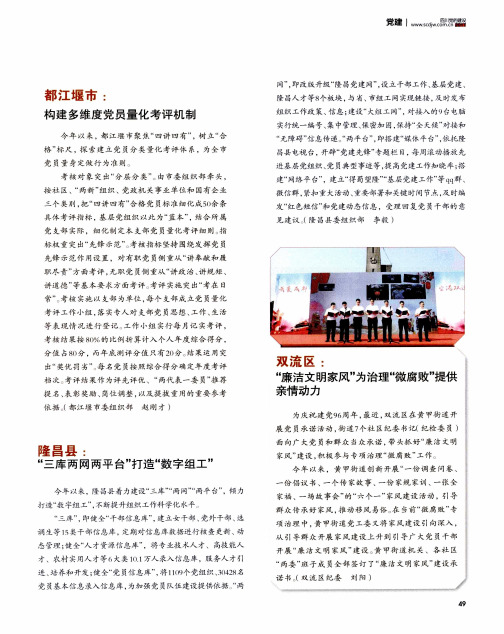 隆昌县：“三库两网两平台”打造“数字组工”
