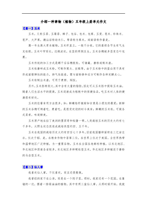 介绍一种事物(植物)五年级上册单元作文共五篇