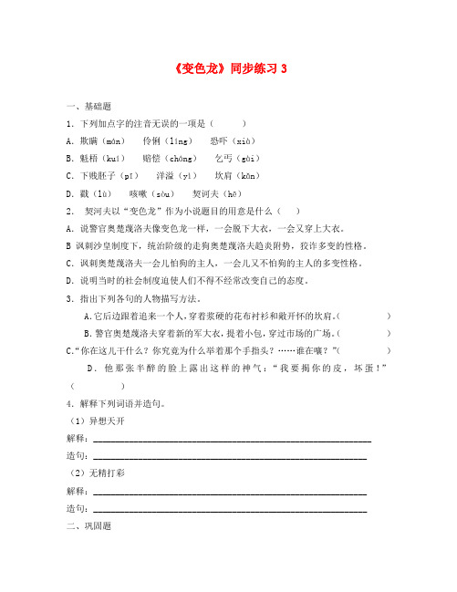 语文：第7课《变色龙》同步练习3(人教新课标九年级下册)