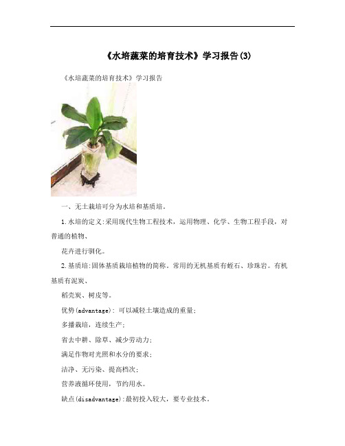 《水培蔬菜的培育技术》学习报告(3)