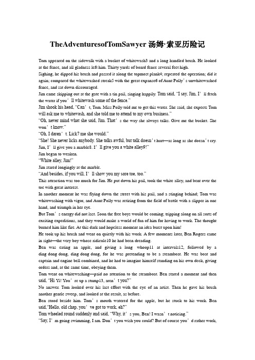 TheAdventuresofTomSawyer汤姆·索亚历险记