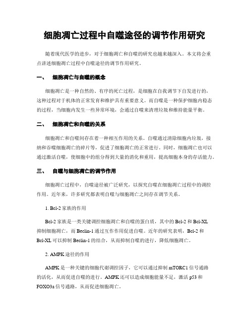 细胞凋亡过程中自噬途径的调节作用研究