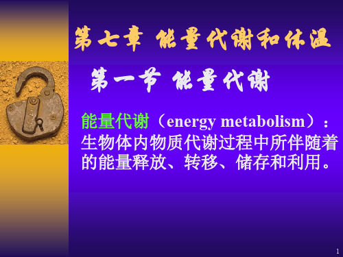 七章节能量代谢和体温