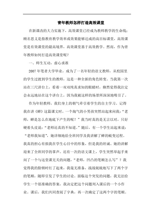 青年教师怎样打造高效课堂论文