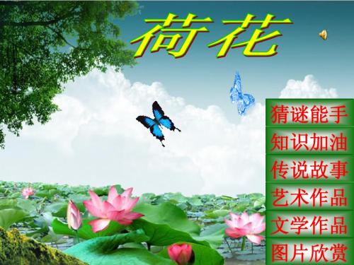 语文荷花
