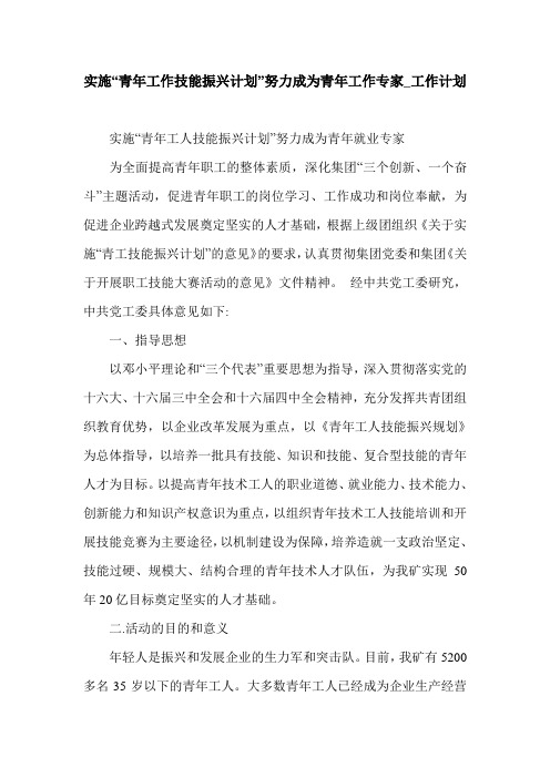 实施“青年工作技能振兴计划”努力成为青年工作专家_工作计划.doc