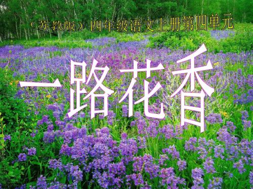 《一路花香》PPT课件2 (共17张PPT)