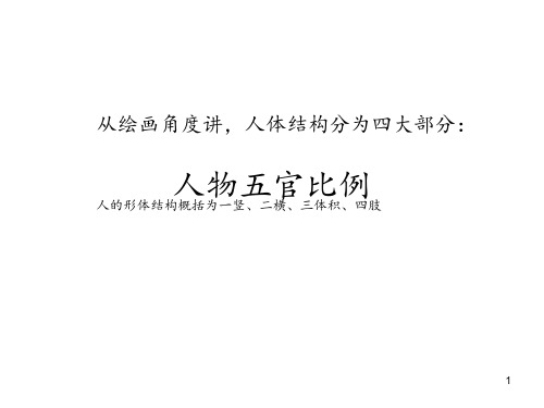 人物五官比例 ppt课件