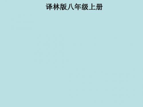 牛津译林英语八年级上册unit2Reading (1)(共24张PPT)