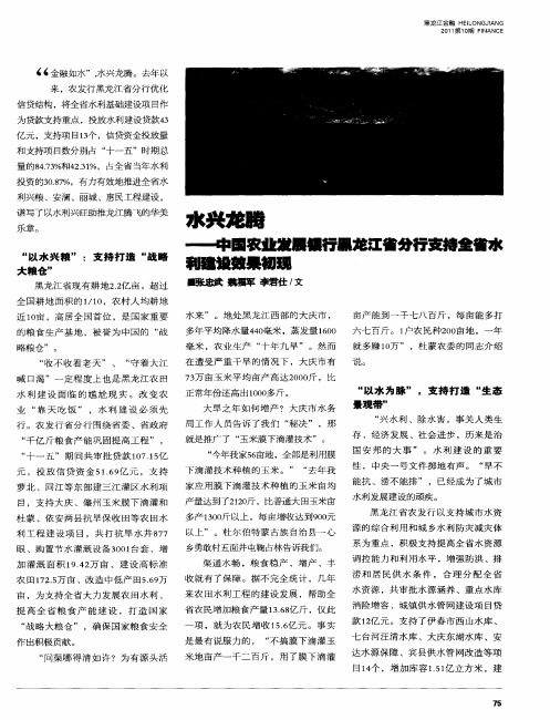 水兴龙腾——中国农业发展银行黑龙江省分行支持全省水利建设效果初现