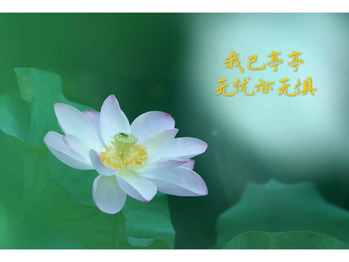 没头脑和不高兴(阅读课上课课件)