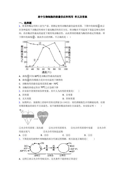 高中生物细胞的能量供应和利用 单元及答案