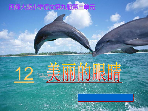 语文五年级上册课件12《美丽的眼睛》