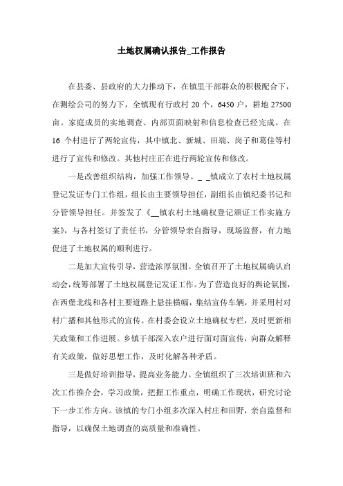 土地权属确认报告_工作报告.doc