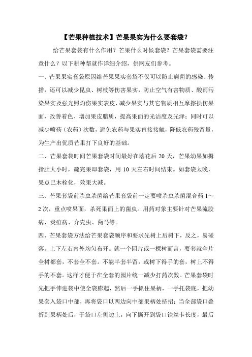 【芒果种植技术】芒果果实为什么要套袋？