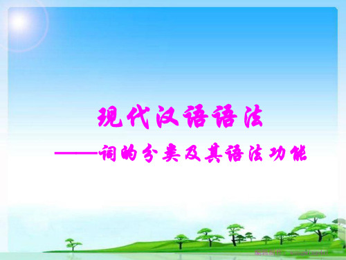 现代汉语语法一词的分类及语法功能