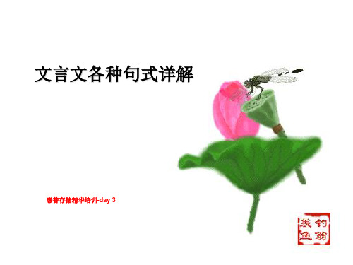 惠普存储精华培训-day 3