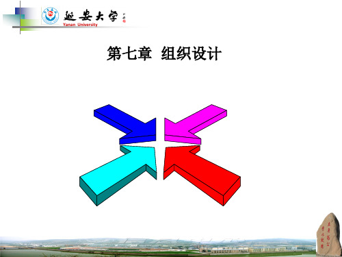 优点缺点矩阵型组织结构加强了各职能部门的横向联系