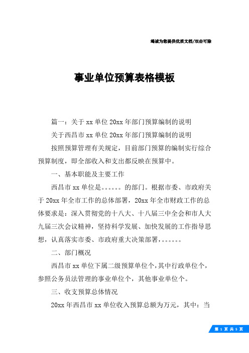 事业单位预算表格模板