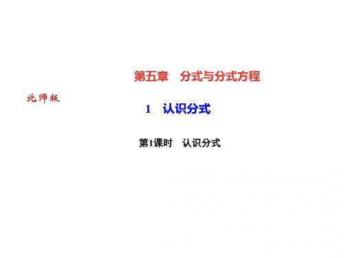 2018-2019学年北师大版八年级数学下册课件：第1课时 认识分式