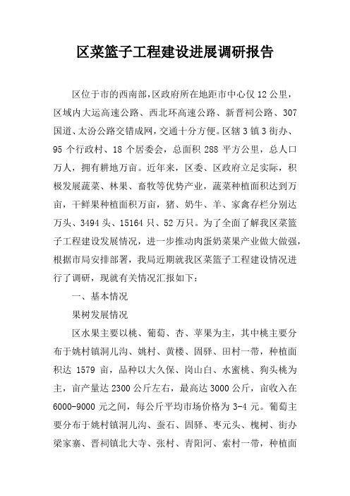 区菜篮子工程建设进展调研报告