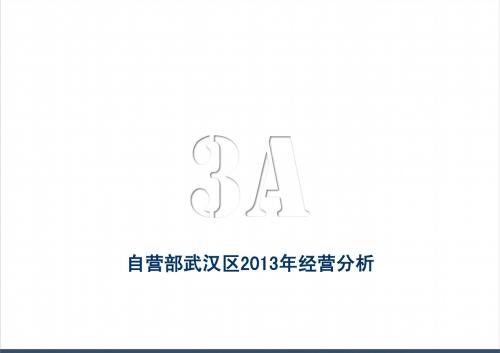武汉区2012年经营分析(快消行业)