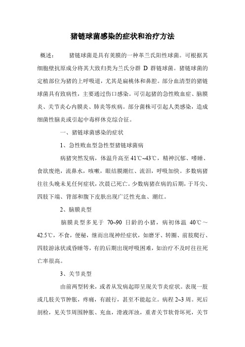 猪链球菌感染的症状和治疗方法.doc