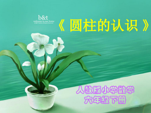 人教版小学数学六年级下册12册《圆柱的认识》教学课件
