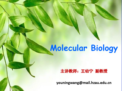 植科-分生-第二章-第二讲