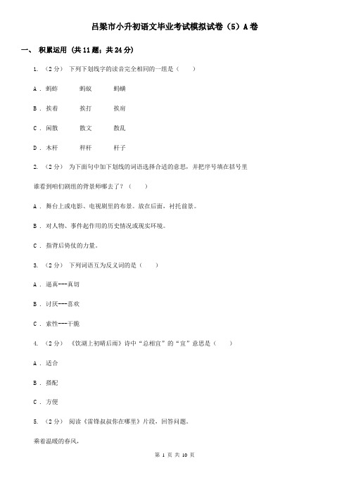 吕梁市小升初语文毕业考试模拟试卷(5)A卷