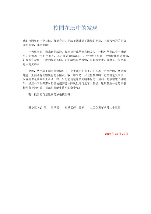 应用文 校园花坛中的发现-精品
