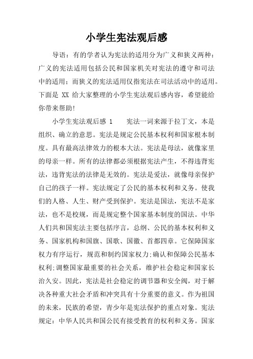 小学生宪法观后感