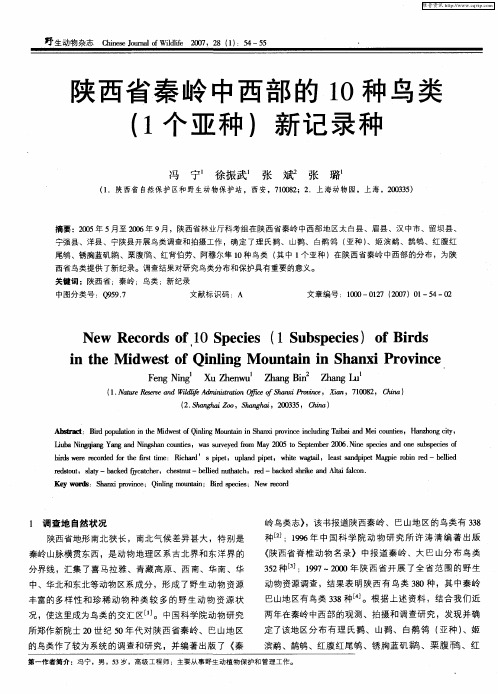 陕西省秦岭中西部的10种鸟类(1个亚种)新记录种