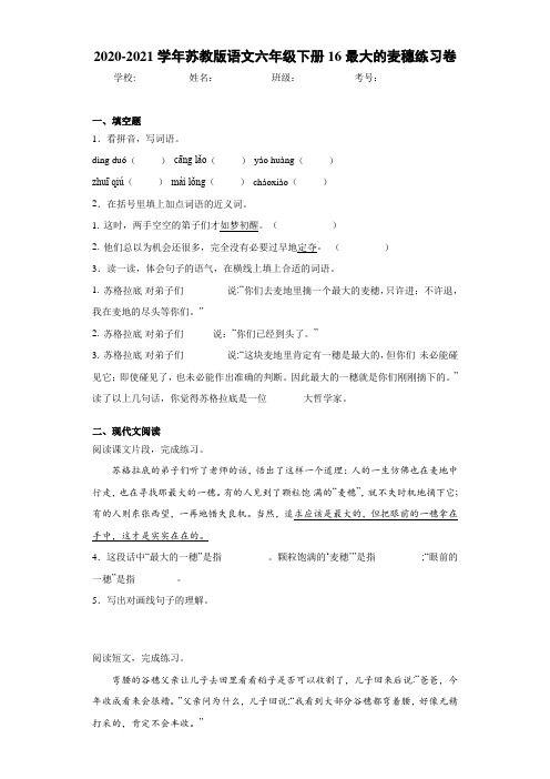 2020-2021学年苏教版语文六年级下册16最大的麦穗练习卷