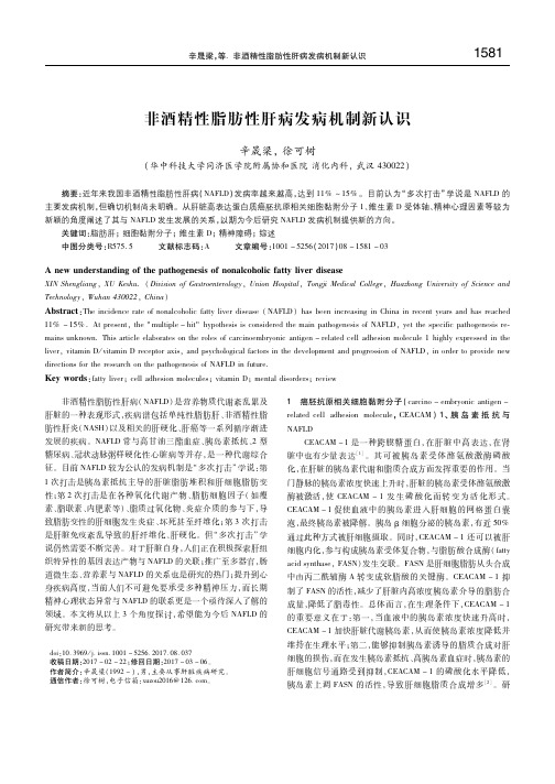 非酒精性脂肪性肝病发病机制新认识 辛晟梁