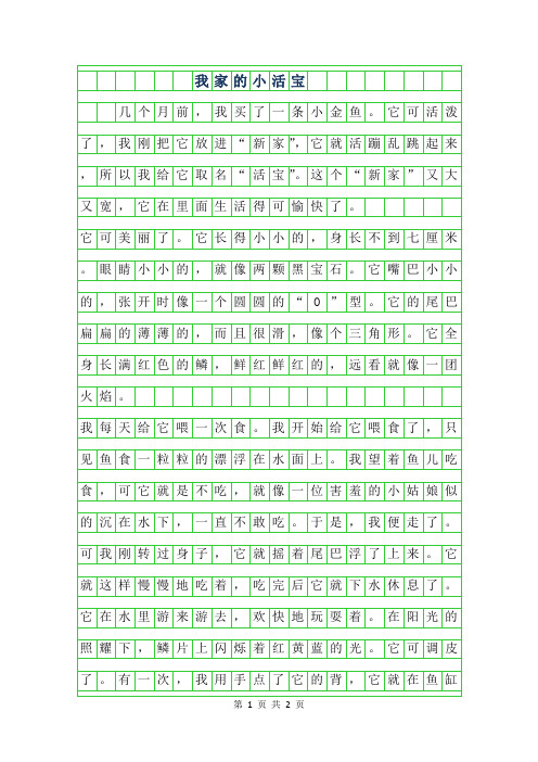 2019年我家的小活宝作文400字