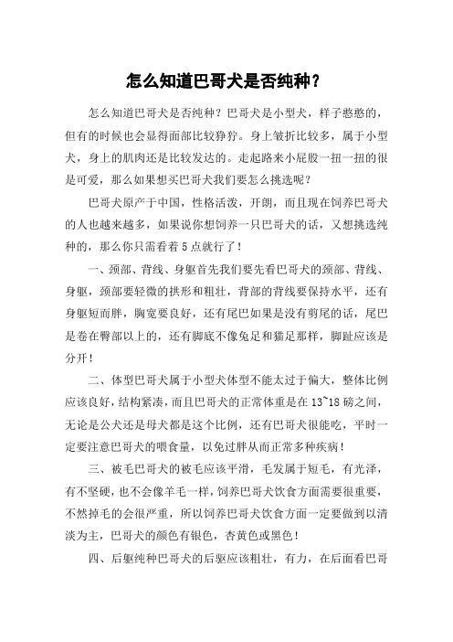 怎么知道巴哥犬是否纯种？
