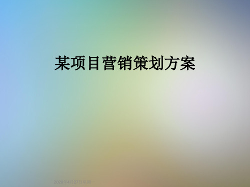 某项目营销策划方案