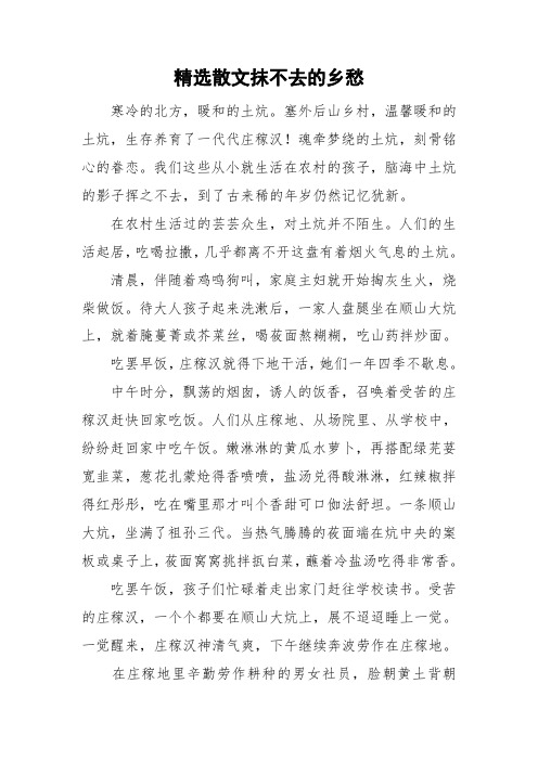 精选散文抹不去的乡愁