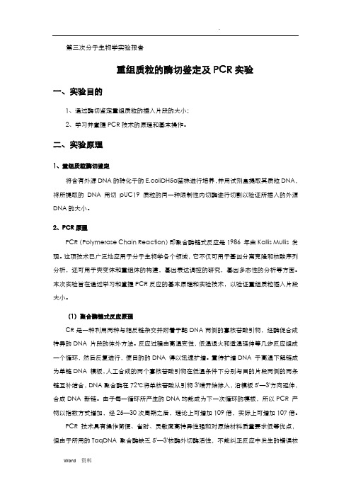 分子实验学报告-重组质粒的酶切鉴定及PCR实验