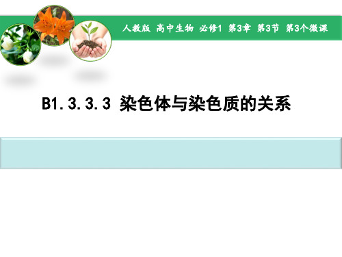 高中教育生物人教版必修1 微课染色体和染色质的关系