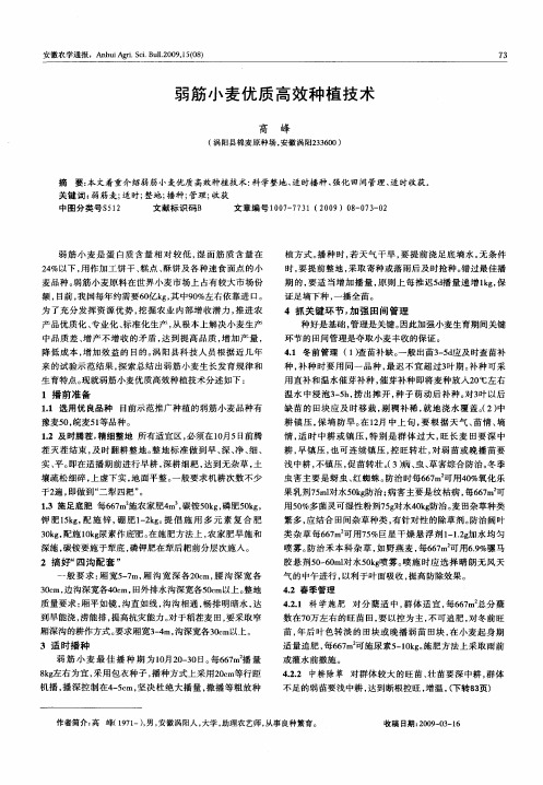 弱筋小麦优质高效种植技术