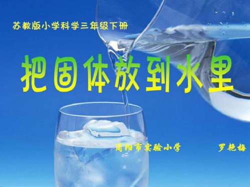 简阳实验小学《把固体放到水里》ppt课件-教育资料