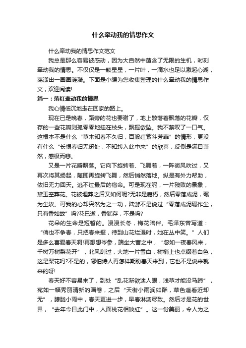 什么牵动我的情思作文